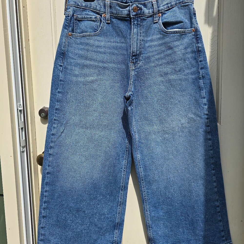 GAP Flare Blue Denim Jeans